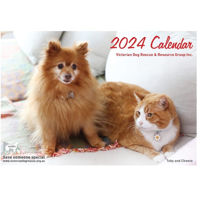 2024 Calendar (includes postage & handling) Victorian Dog Rescue